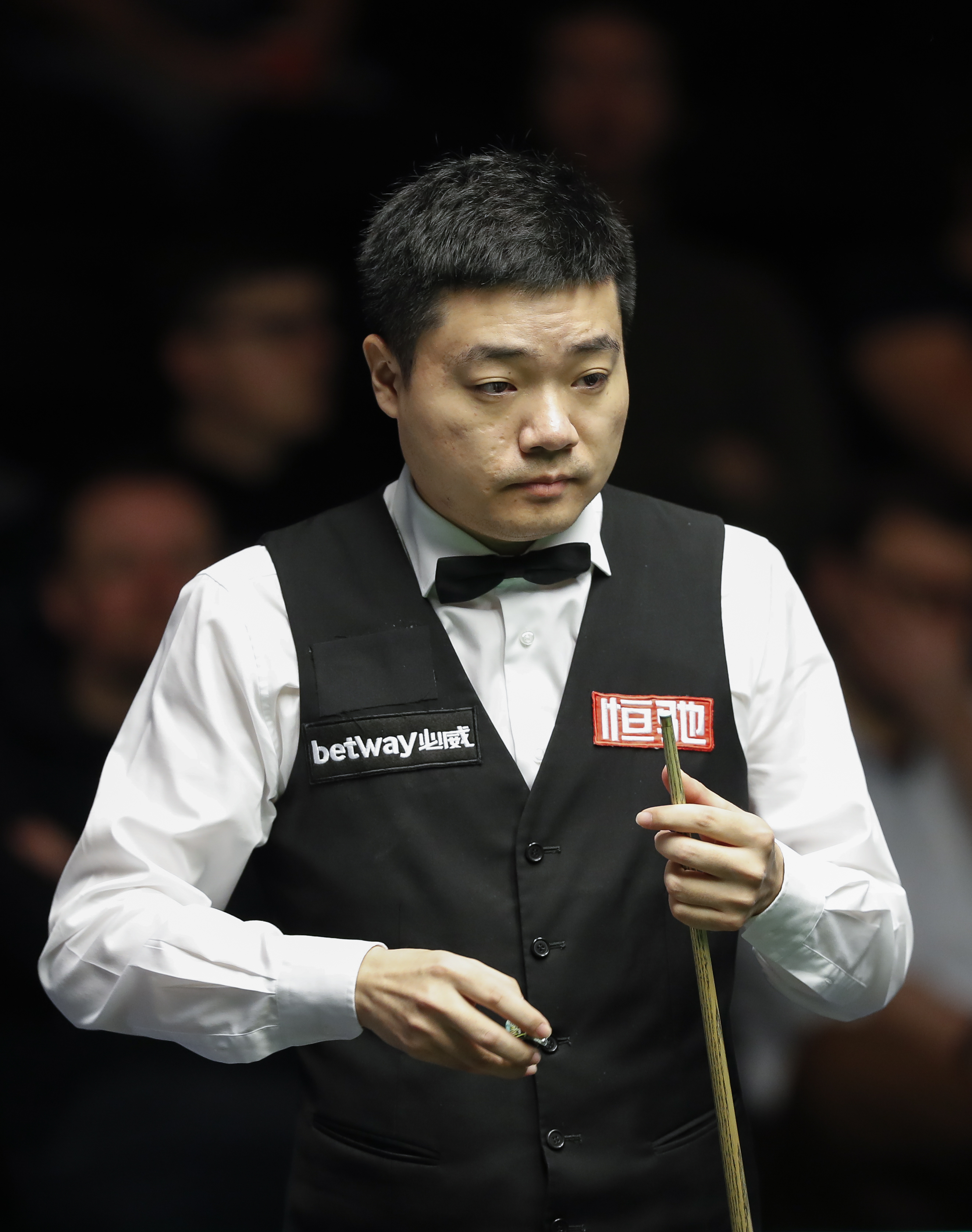 近两个赛季 近两个赛季