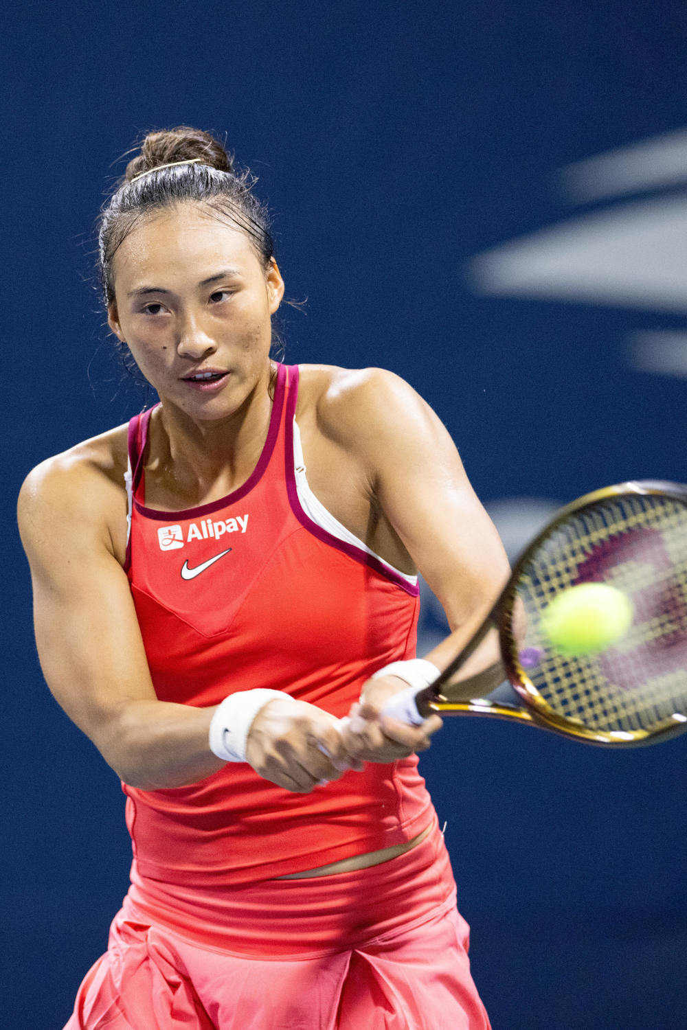 期多日的激 期多日的激