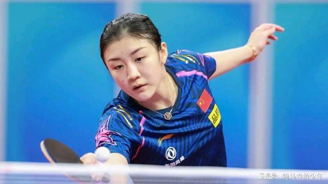 深圳新鹏城 深圳新鹏城